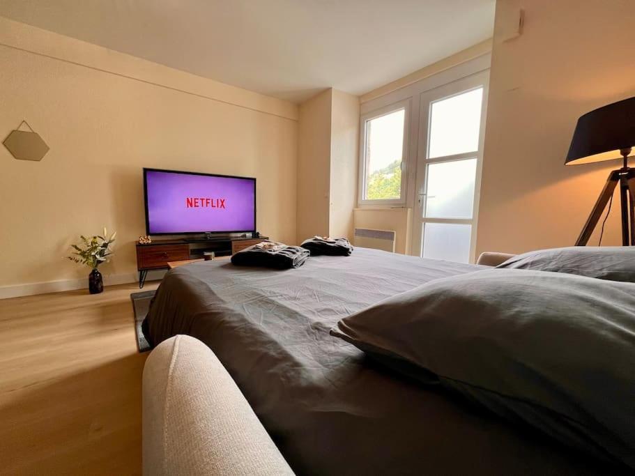 Appartement Climatise 4Prsn Au Pied De La Citadelle Besançon Eksteriør bilde